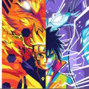 תמונת פרופיל של jshvo